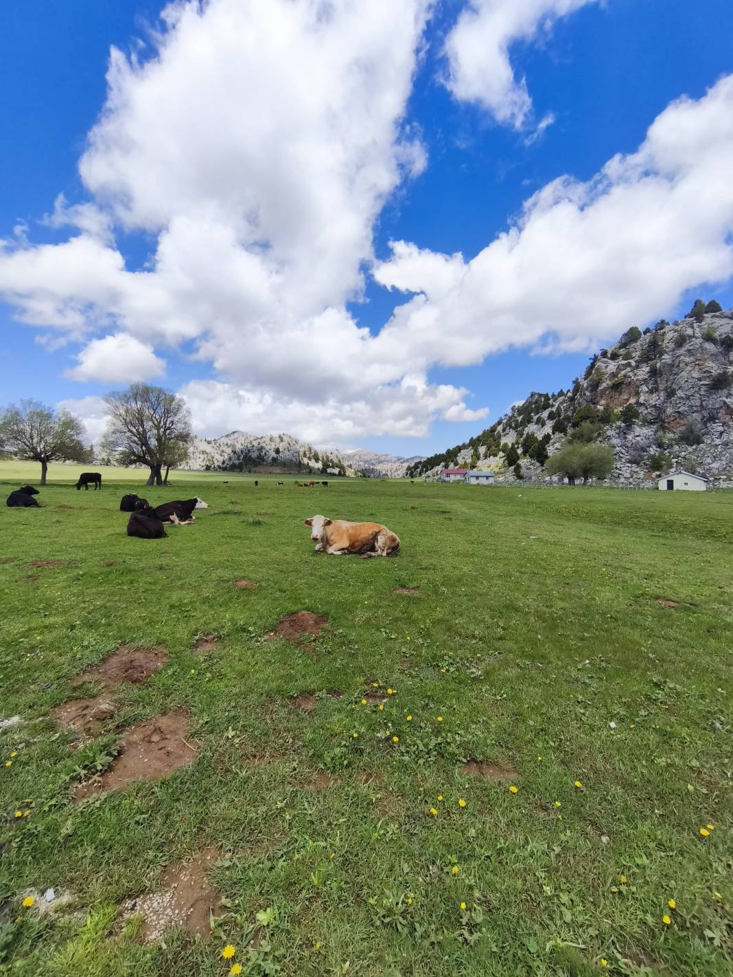 Konya’nın ünlü yaylasında baharın renkli yüzü çıktı 5